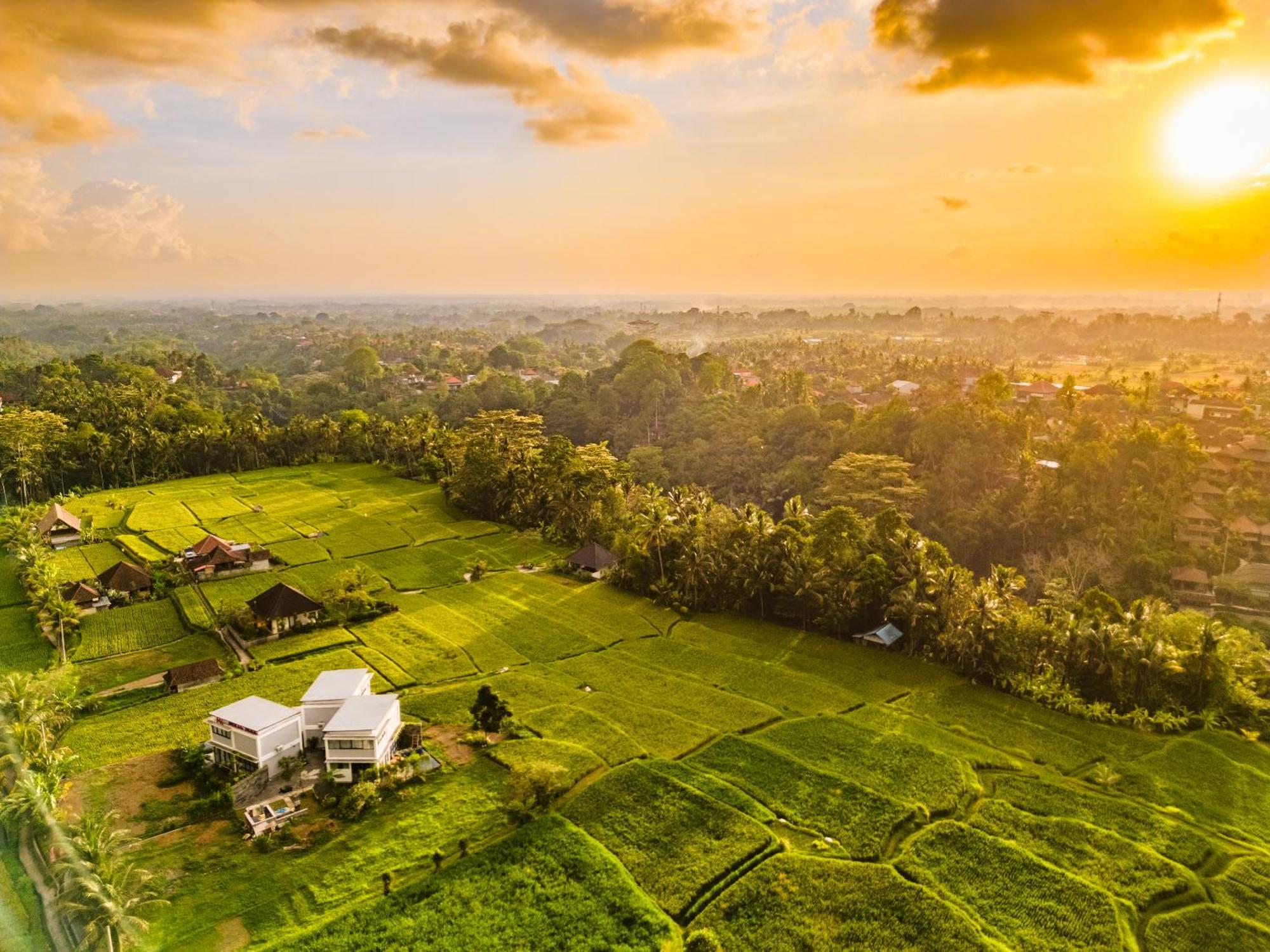 Maple Ridge Ubud Villas Экстерьер фото