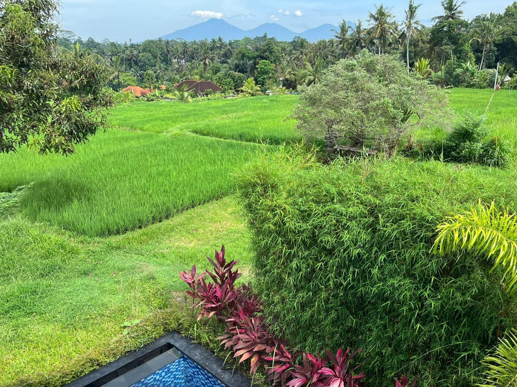 Maple Ridge Ubud Villas Экстерьер фото