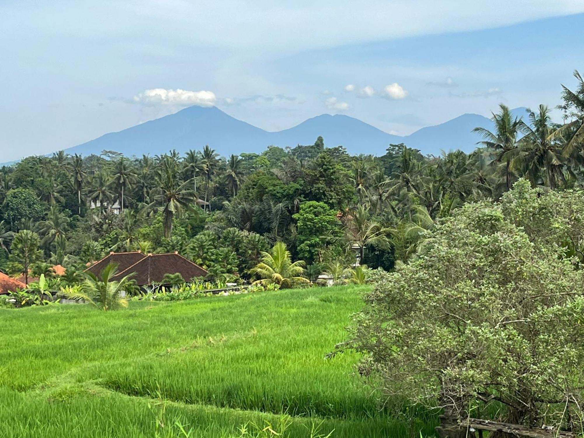 Maple Ridge Ubud Villas Экстерьер фото
